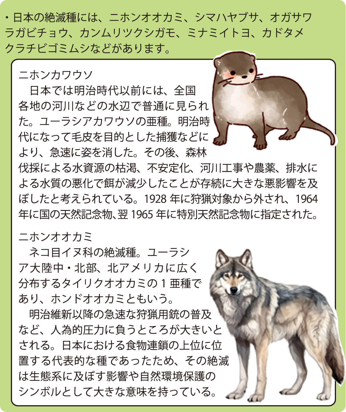vol.224 続々のそのまた続き 今、地球の生態系が危ない! | にらめっこ